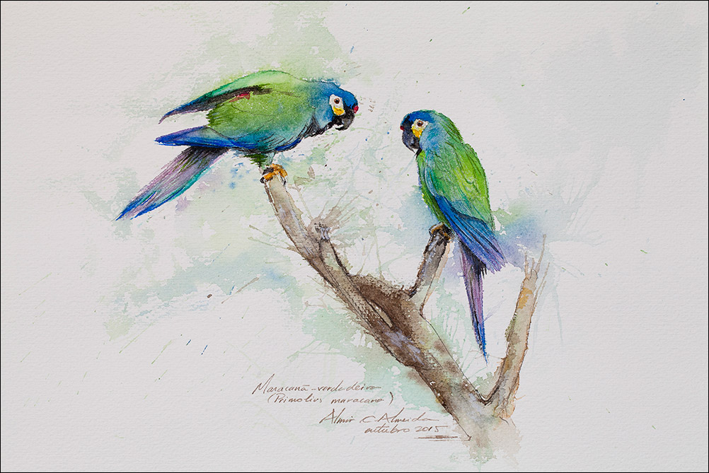 Maracanã-verdadeira