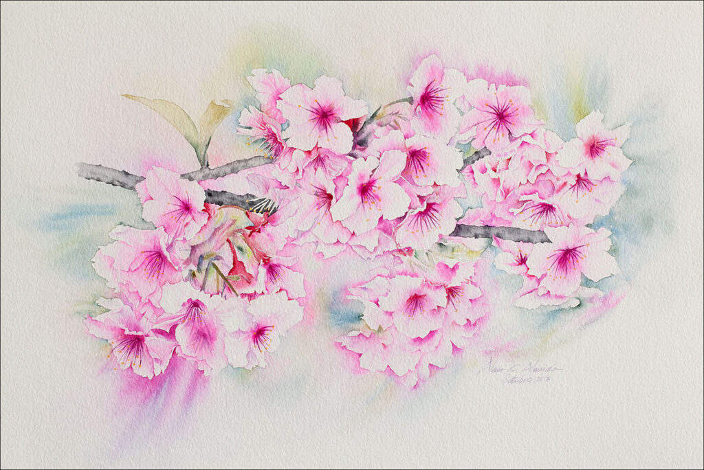 Aquarela / Aquarela 30x40 cm