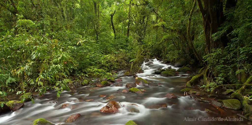 PETAR - Parque Estadual Turístico do Aldo Ribeira - SP